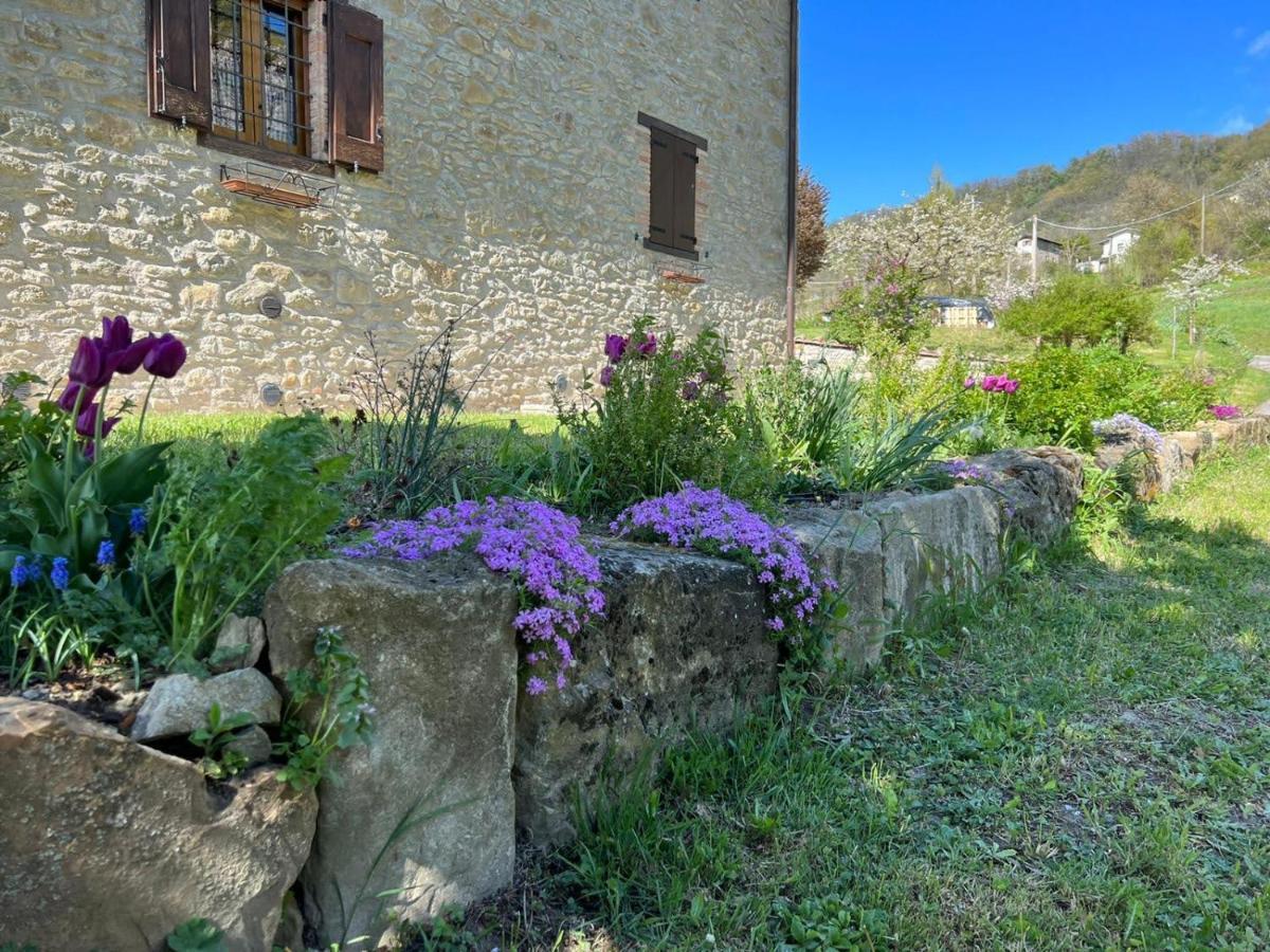 Agriturismo La Casetta - Ospitalita Rurale Familiare 몬테세 외부 사진